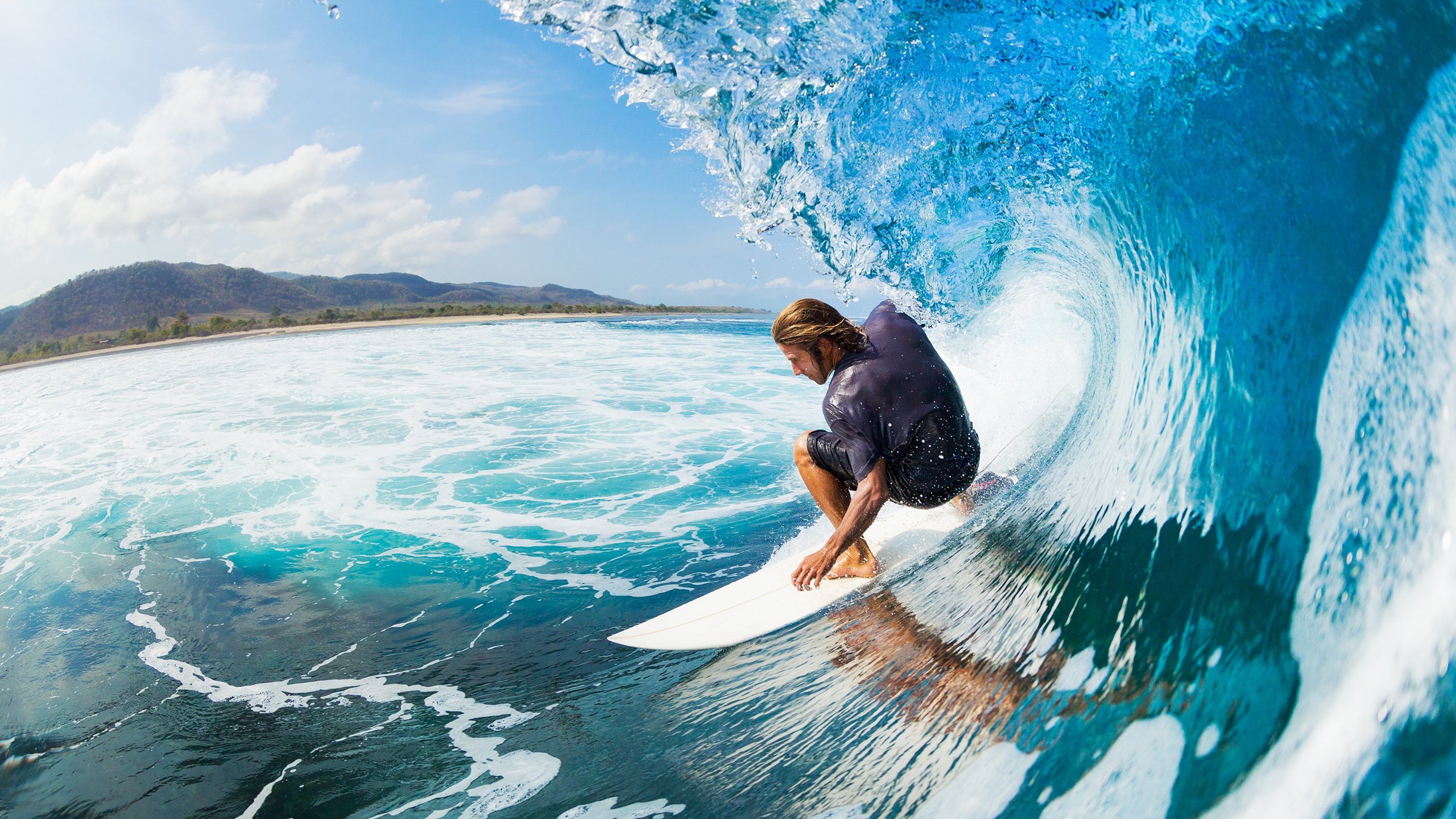 克罗地亚马术协会建立马匹基因数据库,促进马匹选育与训练。,克罗地亚马塞洛